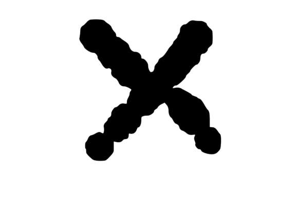 Ink Blot Stain Mono Letter X: Honest Review for Embroidery Use